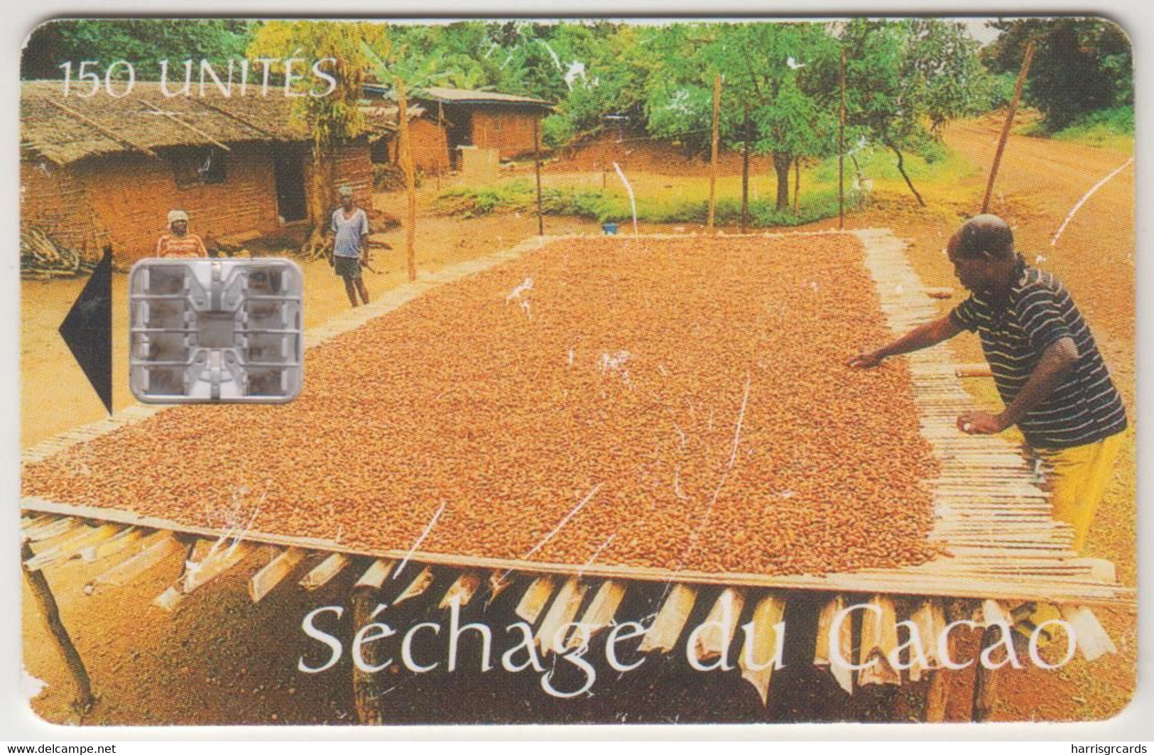 CAMEROON - Séchage Du Cacao (Intelcam Logo), Intelcam, 150 U, Used Medium Condition - Cameroon