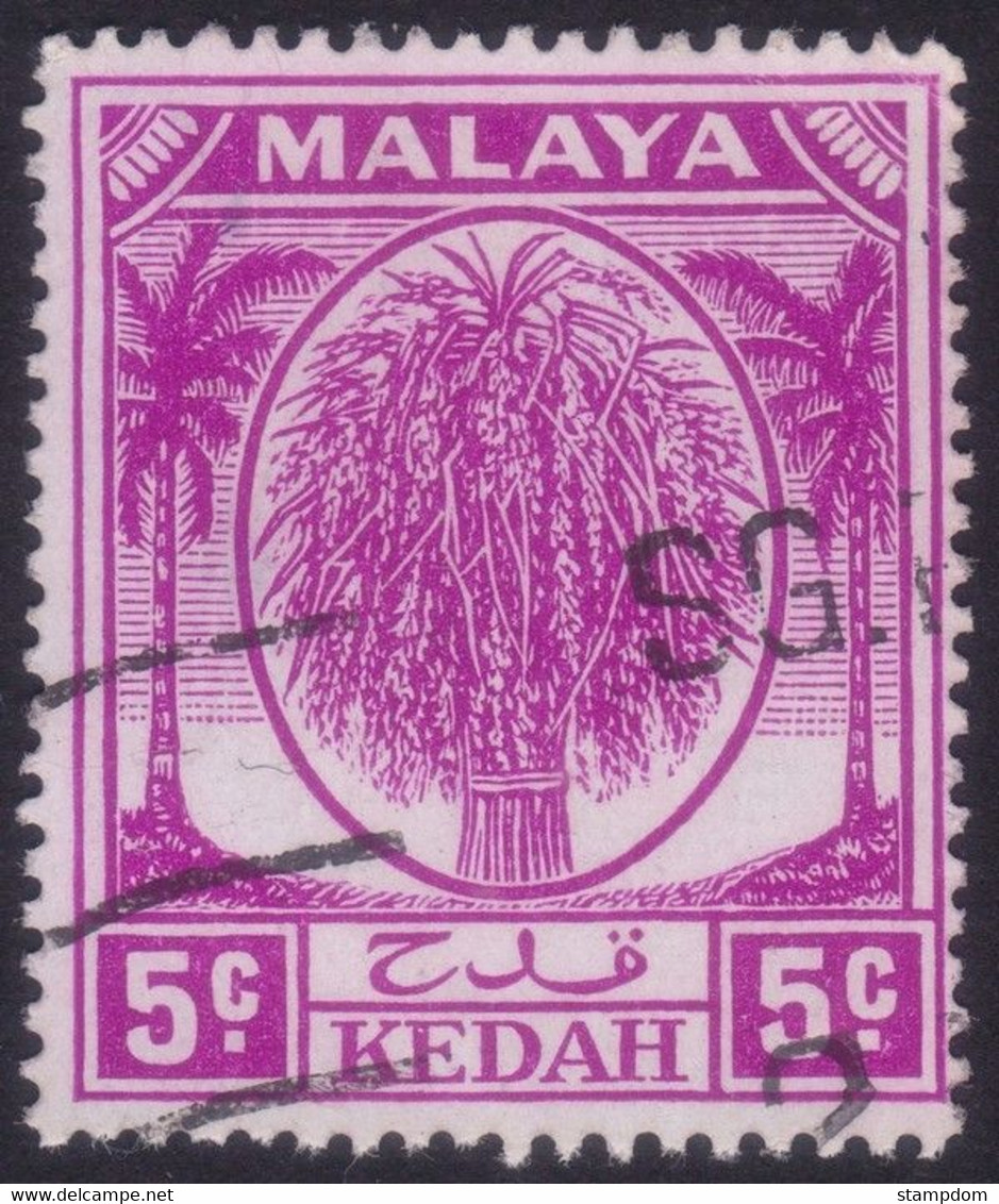 MALAYA KEDAH 1952 5c Palm Tree Sc#63 - USED @N201 - Kedah