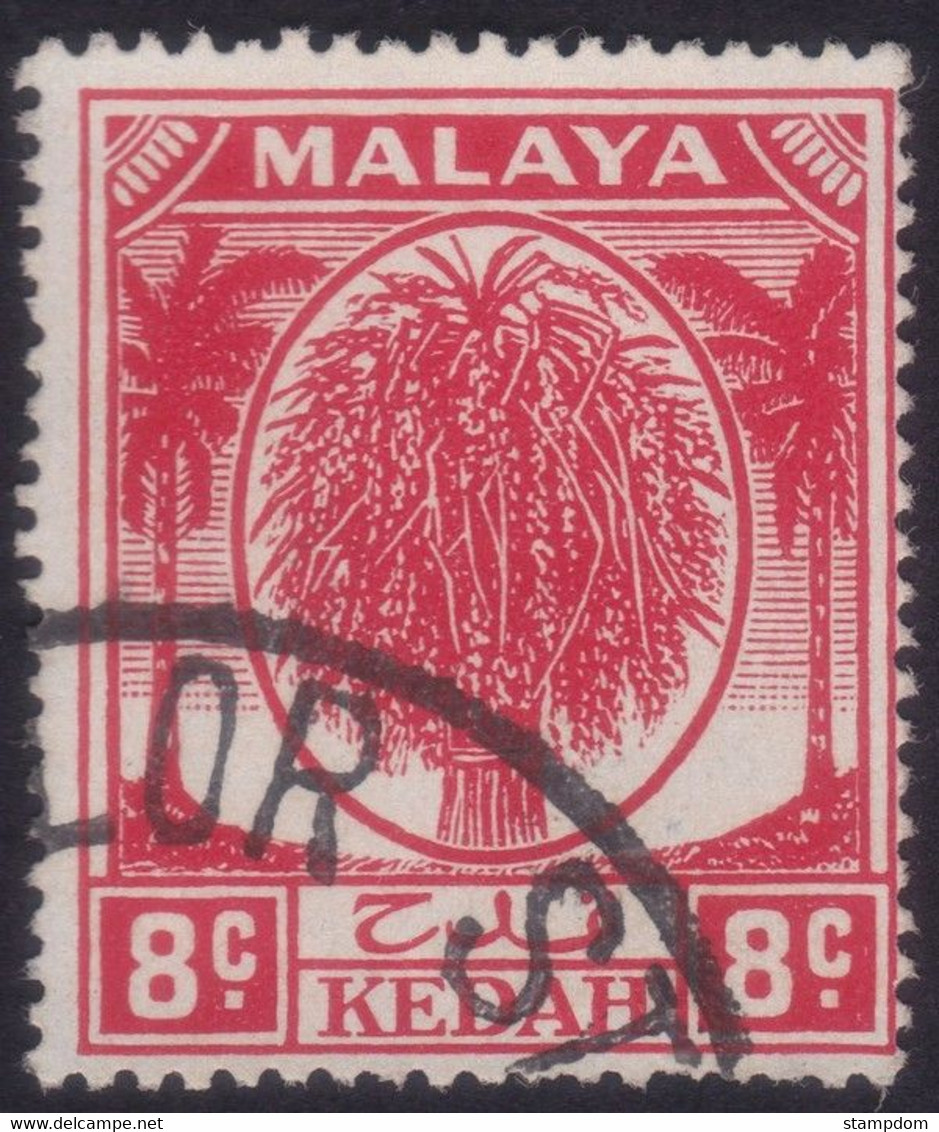 MALAYA KEDAH 1950 8c Palm Tree Sc#67 - USED @N204 - Kedah