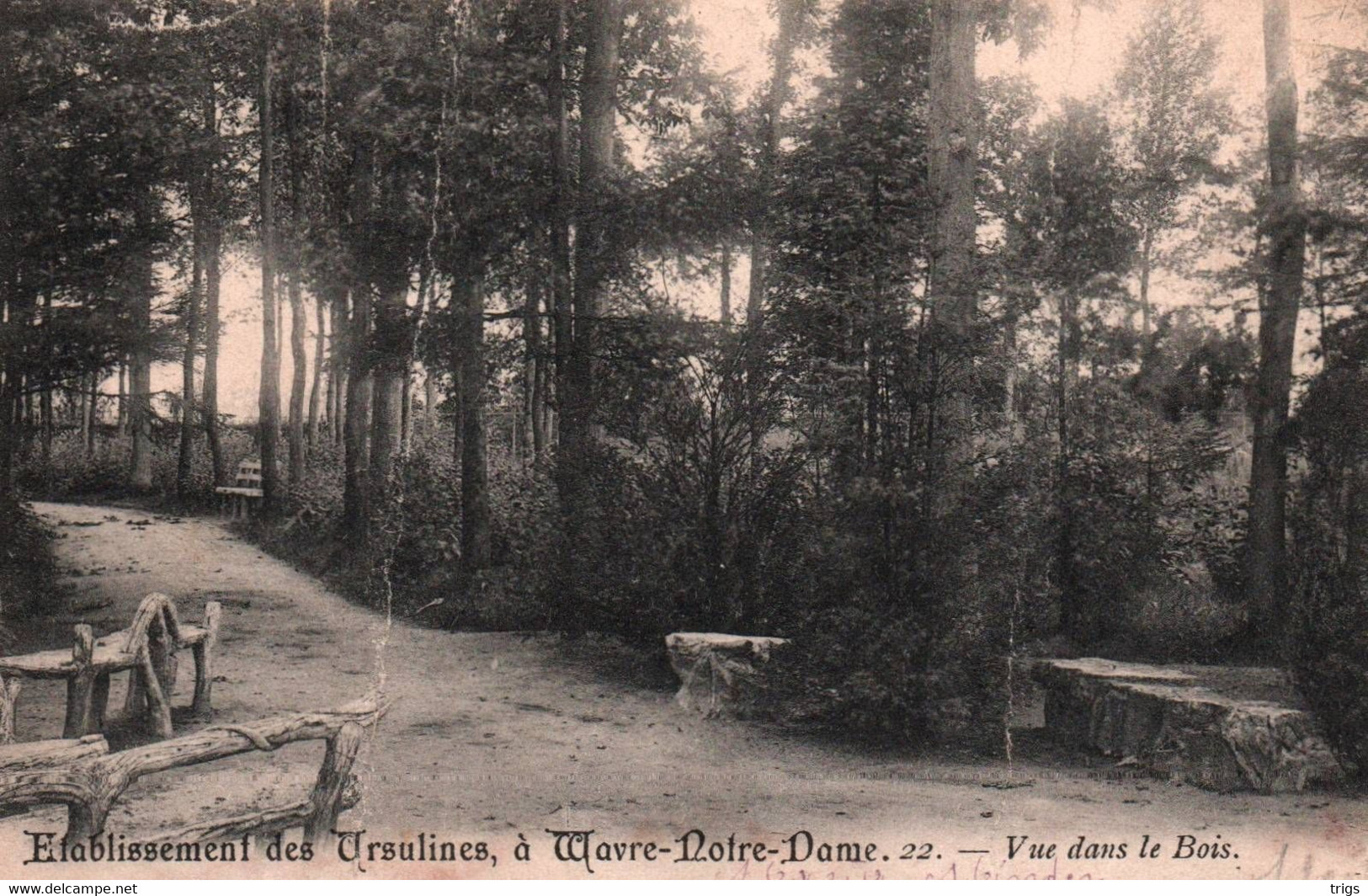 Wavre Notre Dame - Établissement Des Ursulines, Vue Dans Le Bois - Sint-Katelijne-Waver