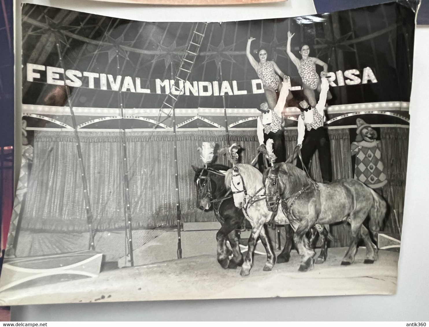 Cirque - Lot De 5 Photos Acrobates à Cheval ZAMPERLA - Circus - Célébrités