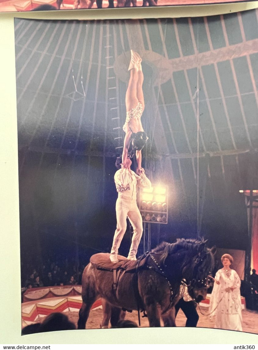 Cirque - Lot De 5 Photos Acrobates à Cheval ZAMPERLA - Circus - Célébrités