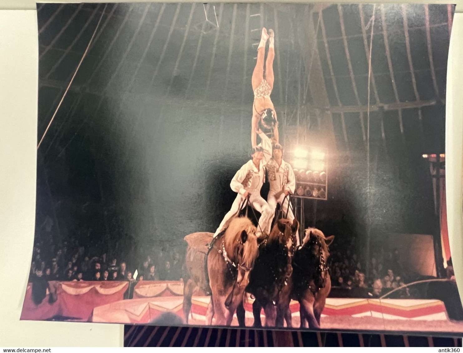 Cirque - Lot De 5 Photos Acrobates à Cheval ZAMPERLA - Circus - Célébrités