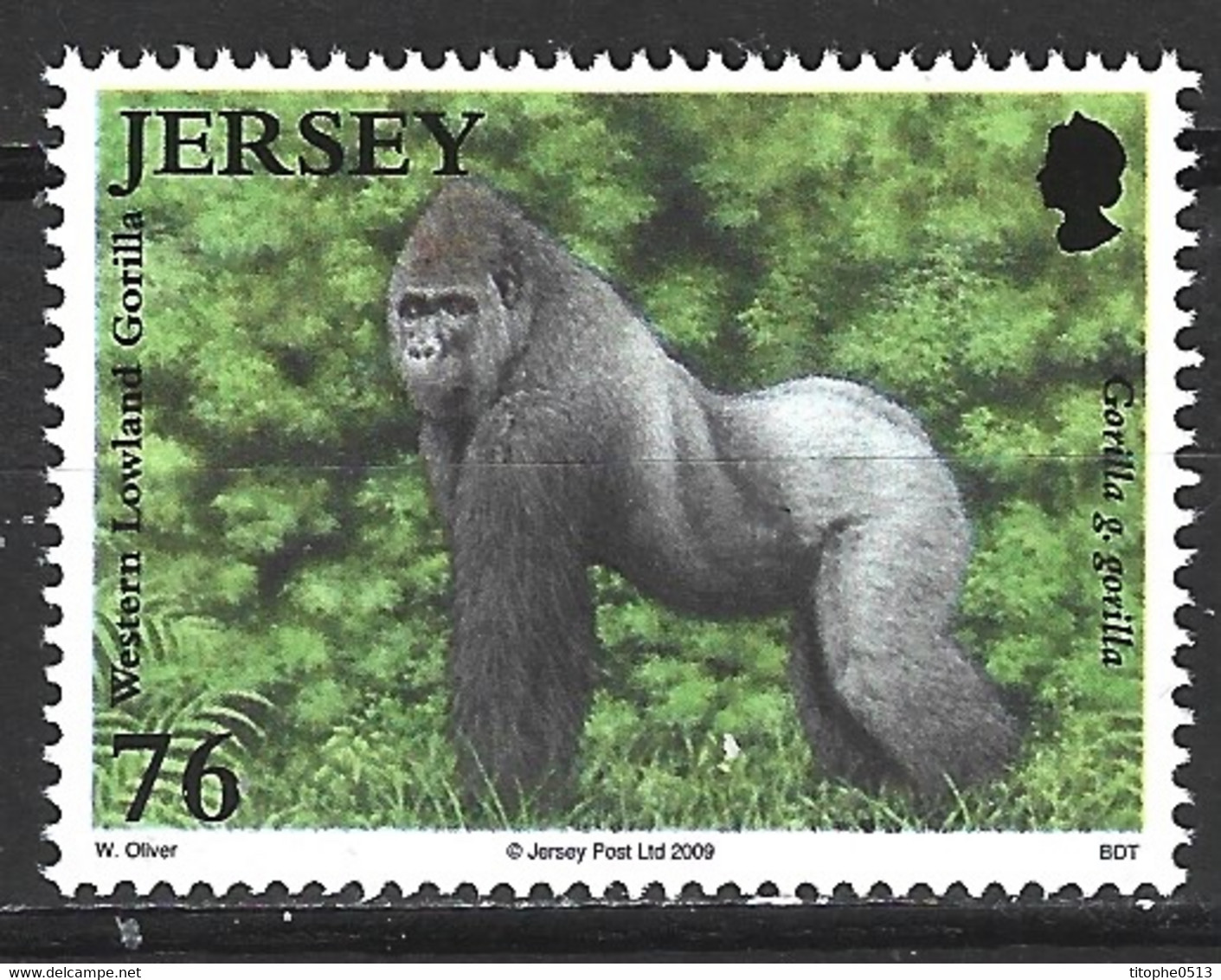 JERSEY. Timbre De 2009. Gorille. - Gorilles