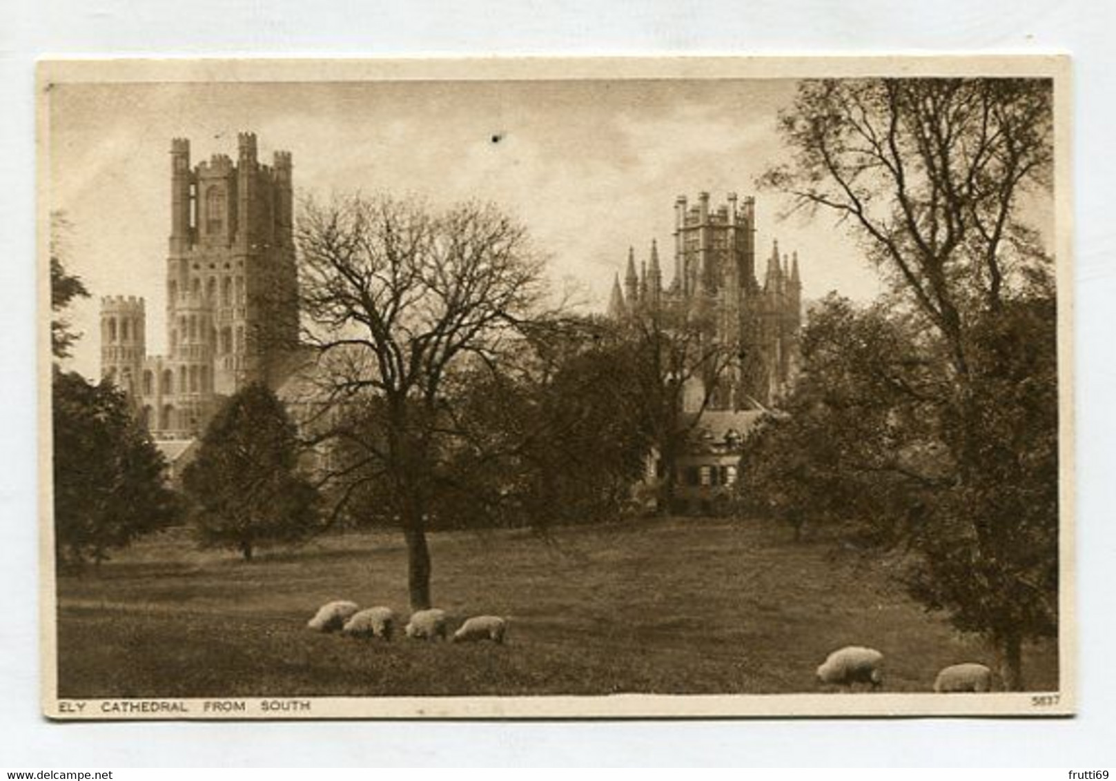 AK 081876 ENGLAND - Ely Cathedral From South - Ely