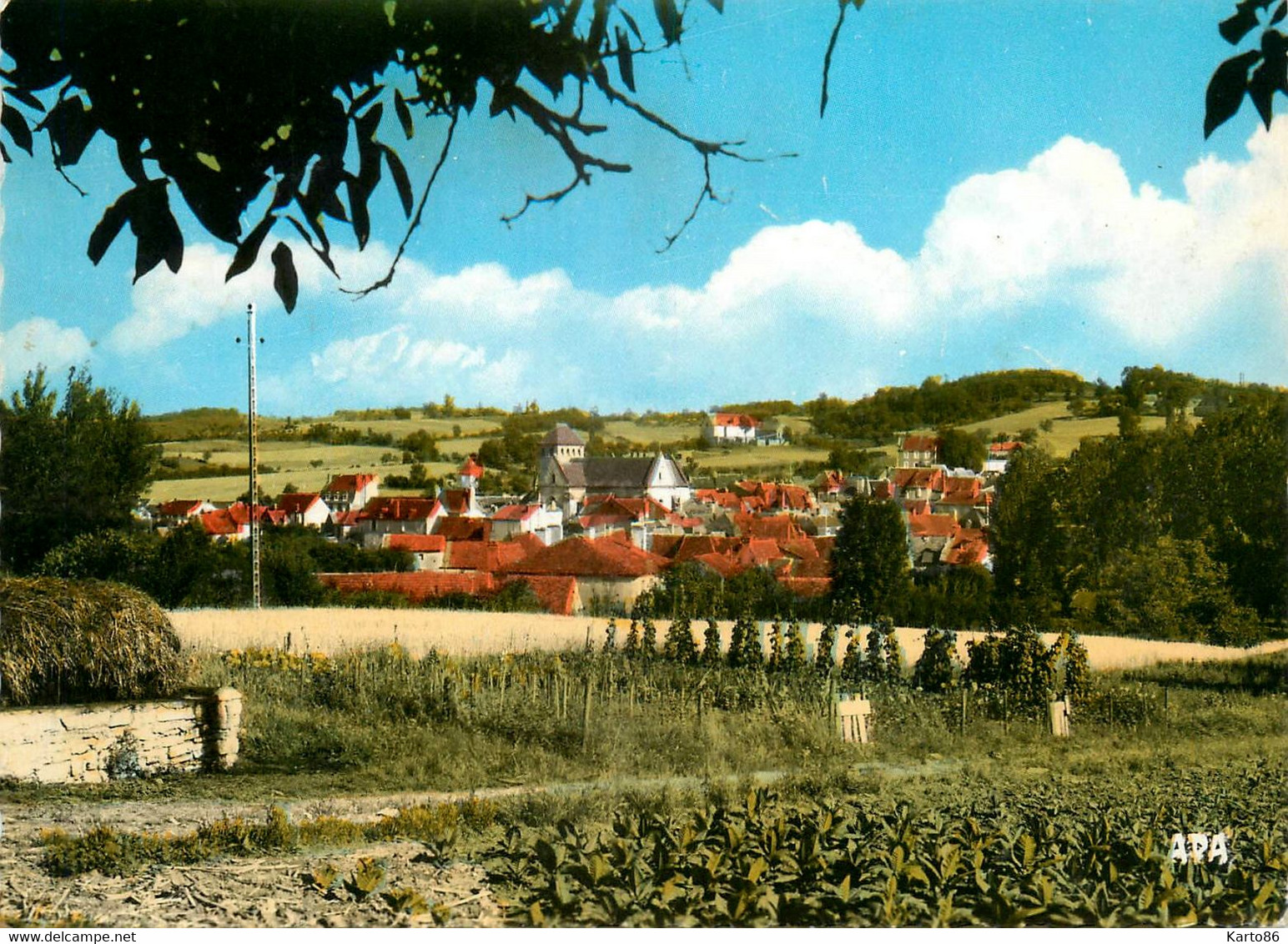 Salviac * Vue Générale Sur Le Village - Salviac