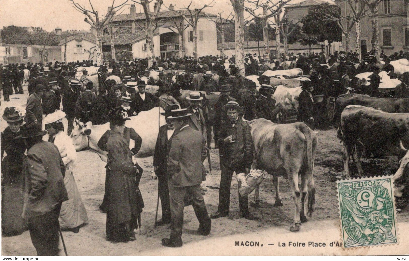 Macon La Foire Place D'armes Bovin Vache - Foires