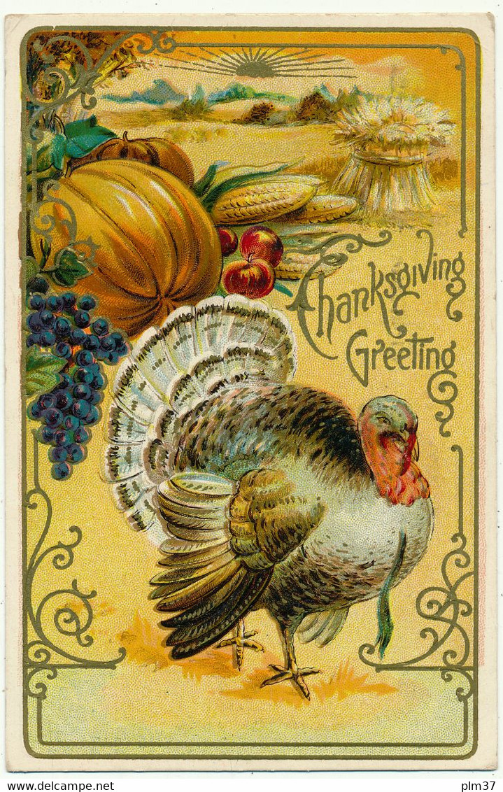 THANKSGIVING Greeting -  Carte Gaufrée, Embossed - Dinde, Fruits - Thanksgiving