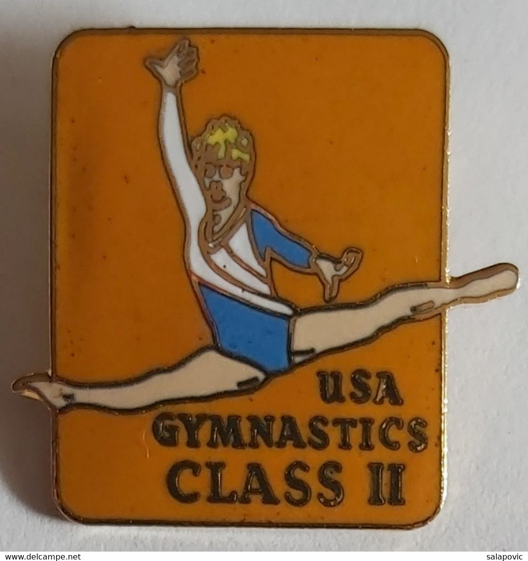 USA Gymnastics CLASS II PINS PLAST, DAMAGED Broken Needle - Gymnastique