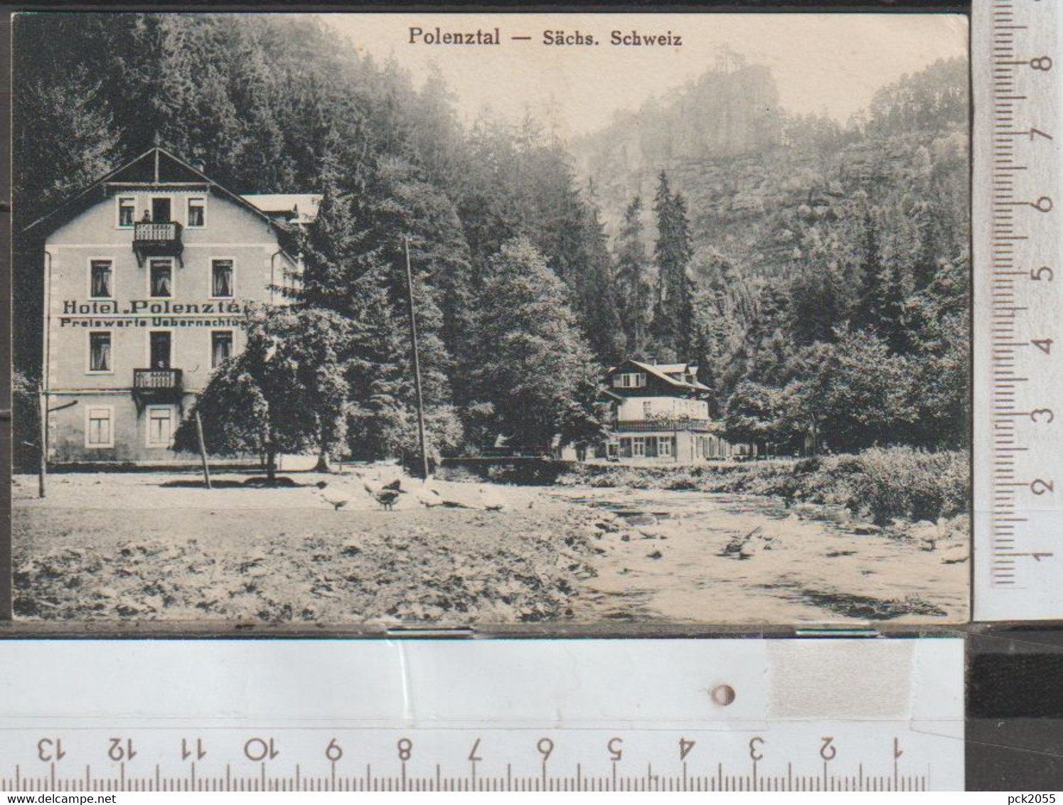 Hohnstein Sächs. Schweiz Polenztal Hotel Polenztal Nicht Gelaufen Um 1920 ( AK 2881 )  Günstige Versandkosten - Hohnstein (Saechs. Schweiz)