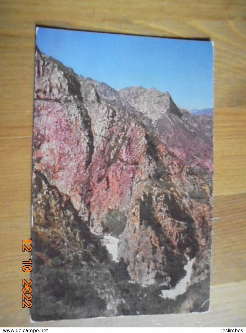 Looking Down Into Kings Canyon En Route To Cedar Grove. Roberts C3930 PM 195? - Kings Canyon