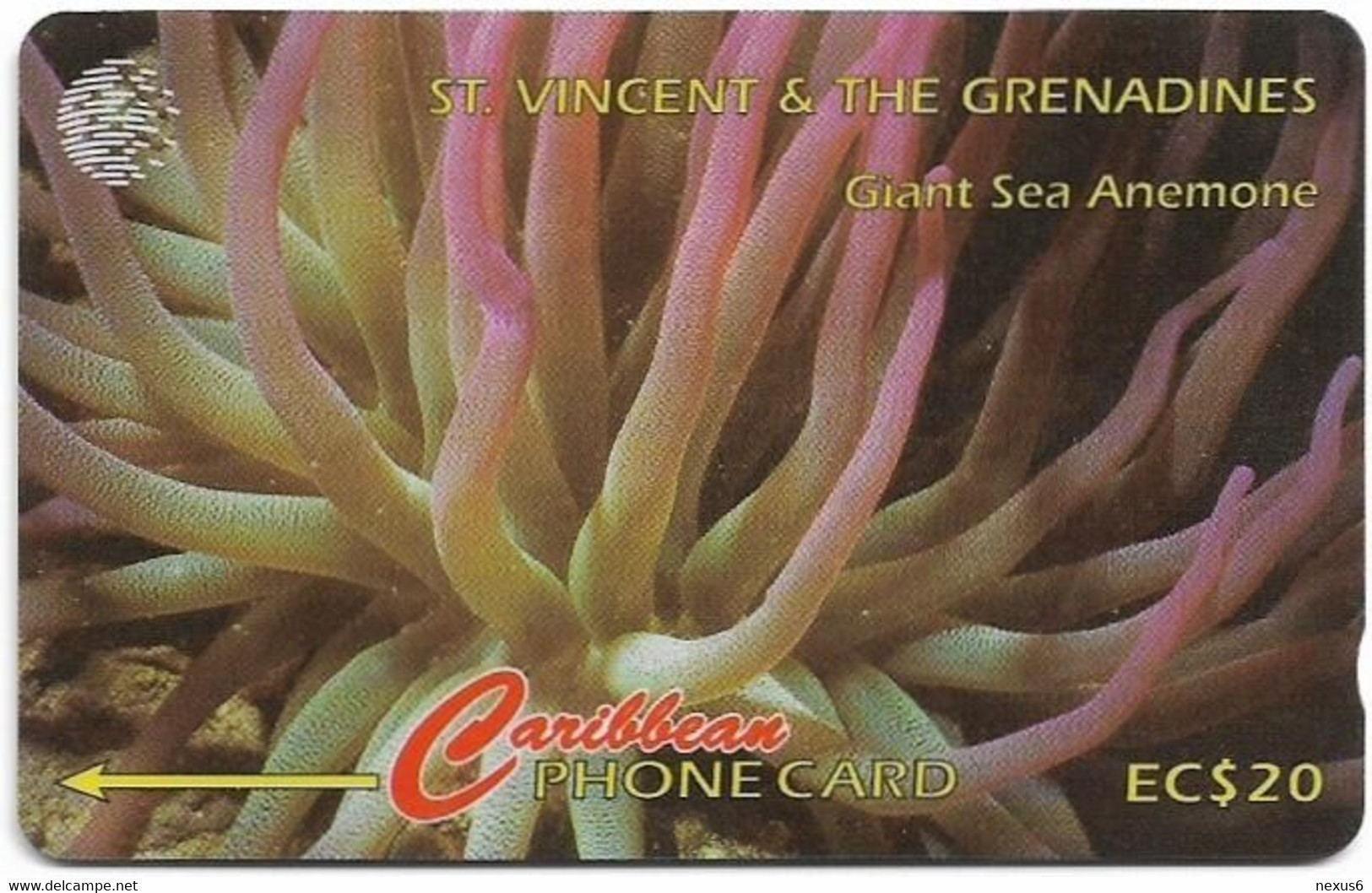 St. Vincent - C&W (GPT) - Giant Sea Anemone - 142CSVC (Dashed  Ø), 1997, 15.000ex, Used - Saint-Vincent-et-les-Grenadines