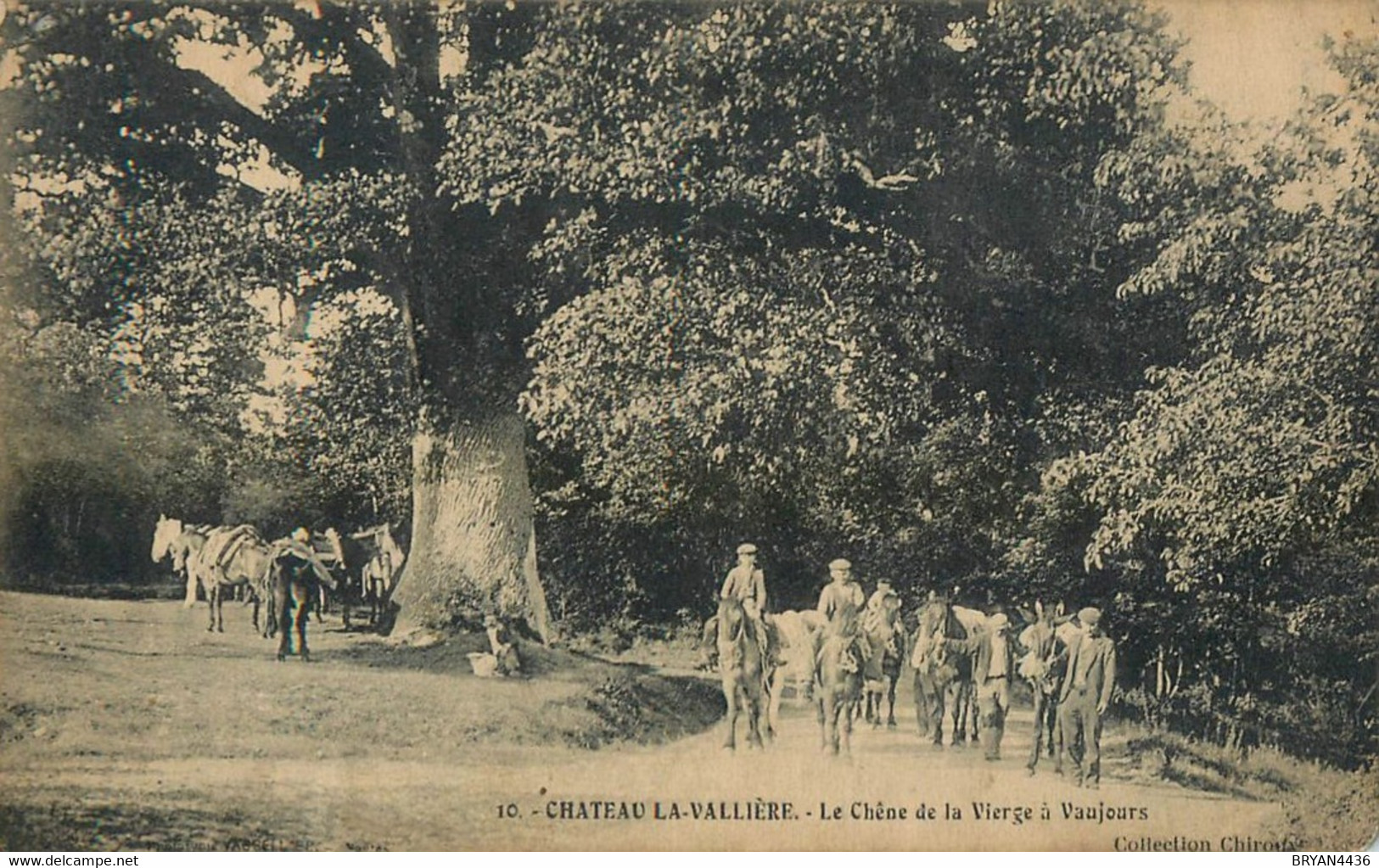 37 - REUGNY - ARBRE REMARQUABLE - Le CHÊNE De La VIERGE à VAUJOURS - CHATEAU LAVALLIERE - CARTE - TRES BON ETAT - Reugny