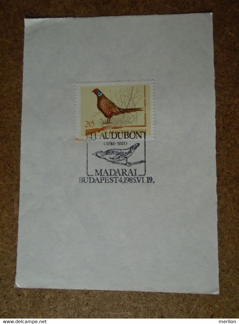 D191044   Hungary  Commemorative Handstamp  - Oiseaux Birds J.J. Audubon  -1985 Budapest - Altri & Non Classificati