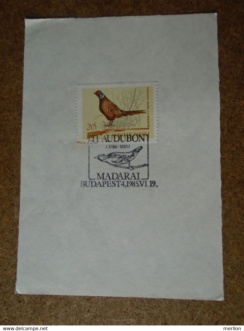 D191044   Hungary  Commemorative Handstamp  - Oiseaux Birds J.J. Audubon  -1985 Budapest - Sonstige & Ohne Zuordnung
