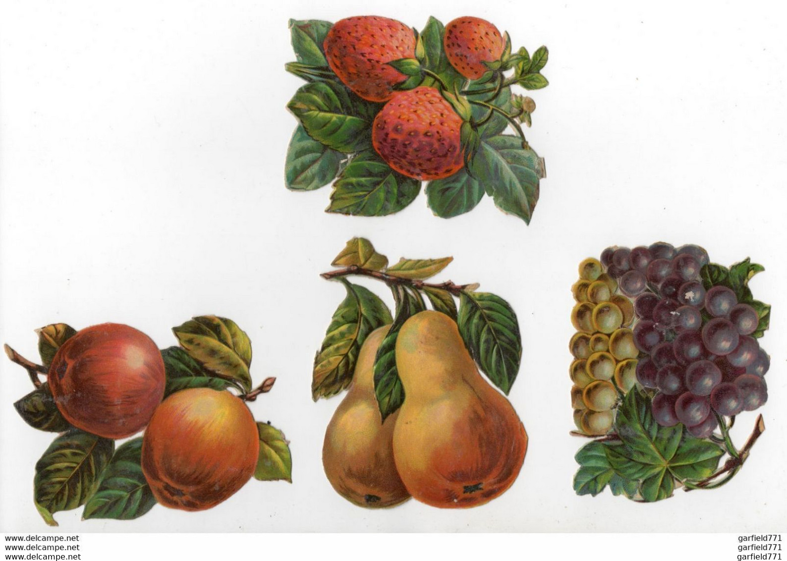 2 SCANS - TRES BEAU LOT De 8 FRUITS Chromo Découpis Cerise Poire Quetsch Fraise - Bloemen