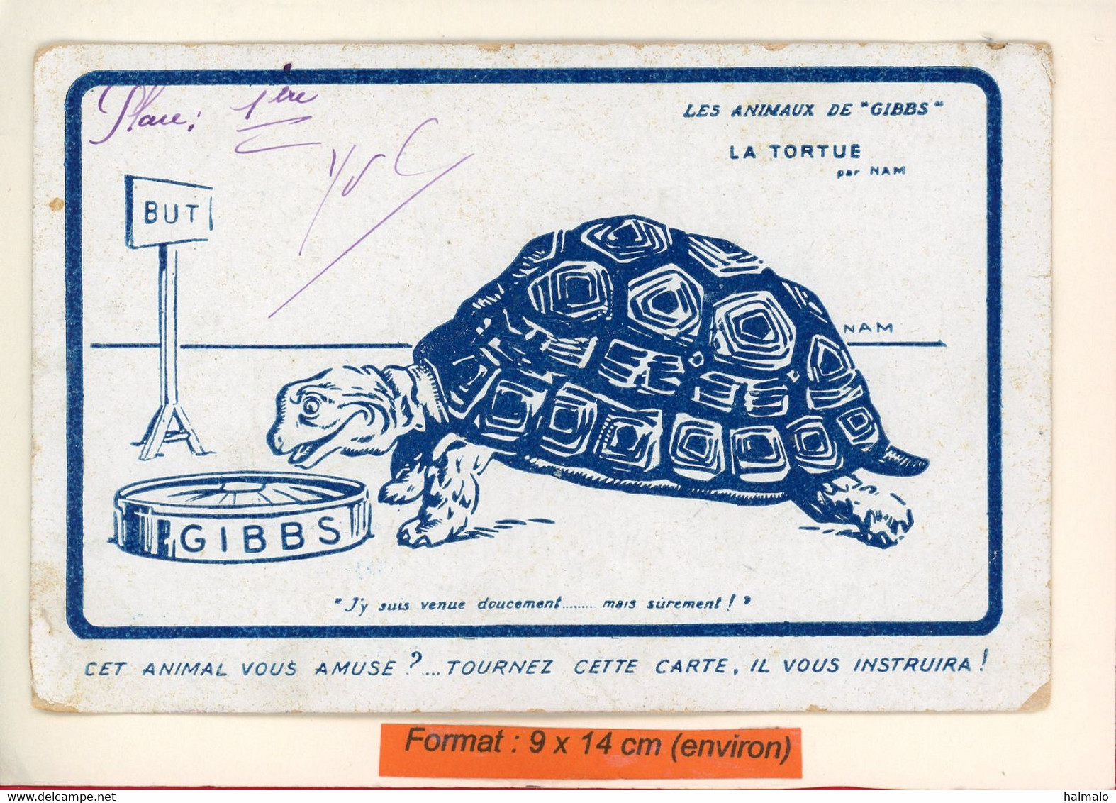 PUBLICITÉ GIBBS - TORTUE - ILLUSTRATEUR JACQUES NAM - (12991) - Turtles