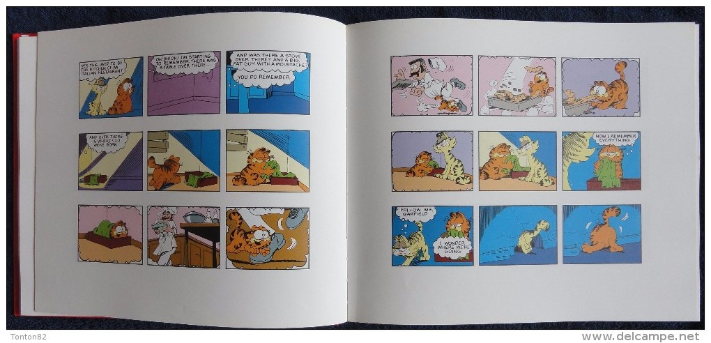 Jim Davis - GARFIELD - SPECTACULAR - ( Recueil 5 Titres ) - Éditions BCA - ( 1992 ) .