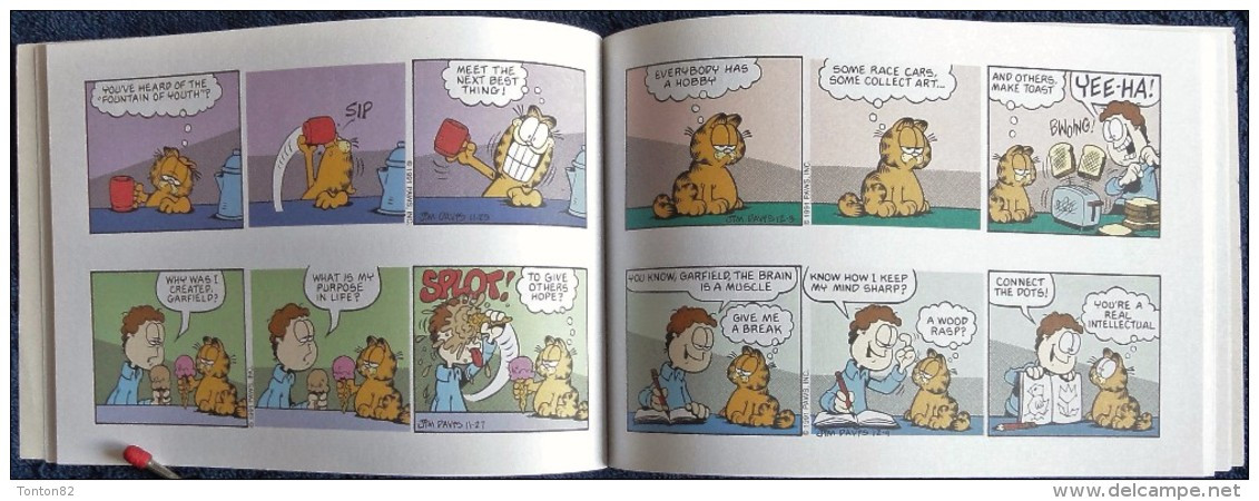 Jim Davis - GARFIELD - Guide To Successful - Ravette Books - ( 1999 ) . - British Comic Books