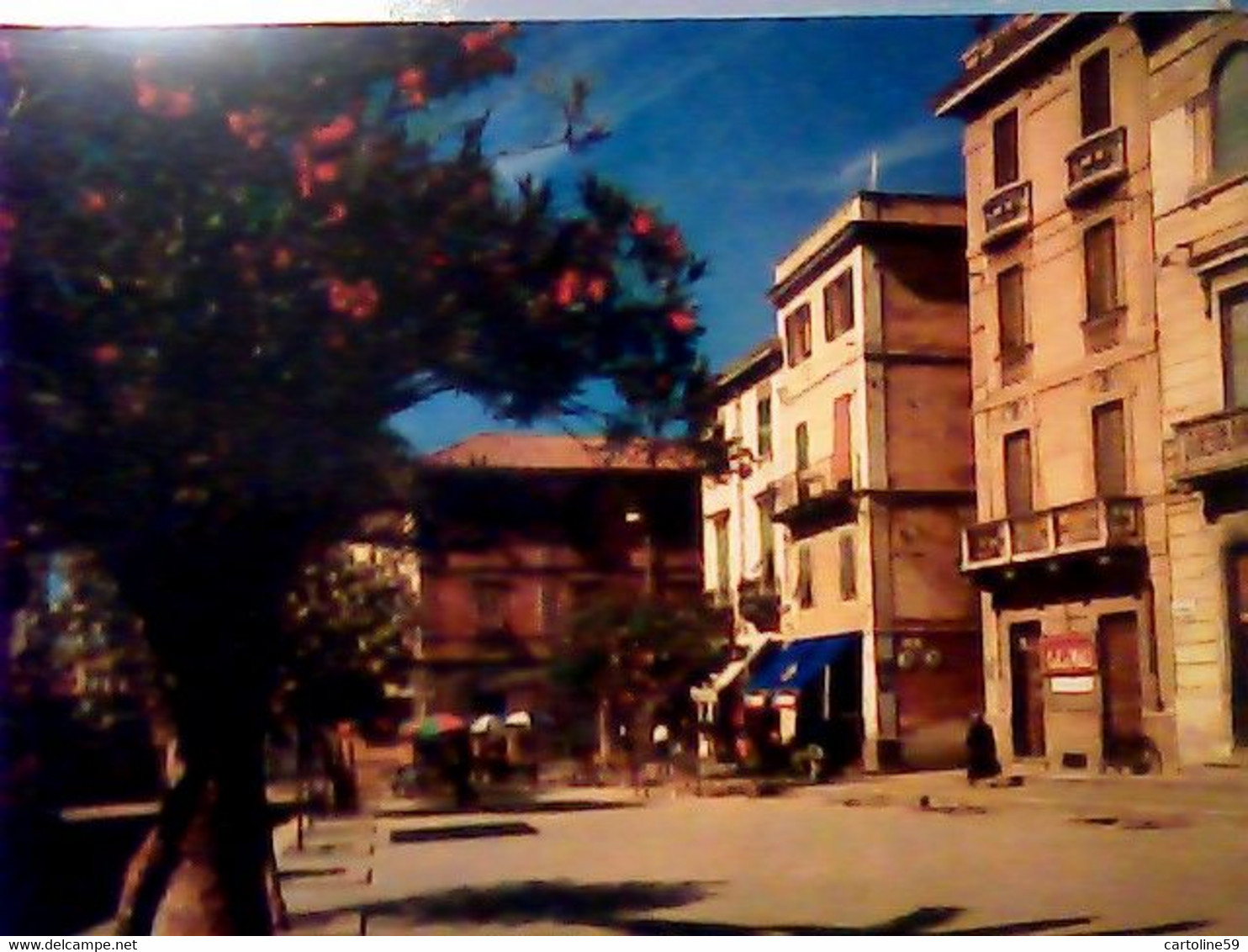 4 CARD OLBIA  GOLFO ARANCI E PIAZZA REGINA Margherita VB1958/72  IX2558 - Olbia