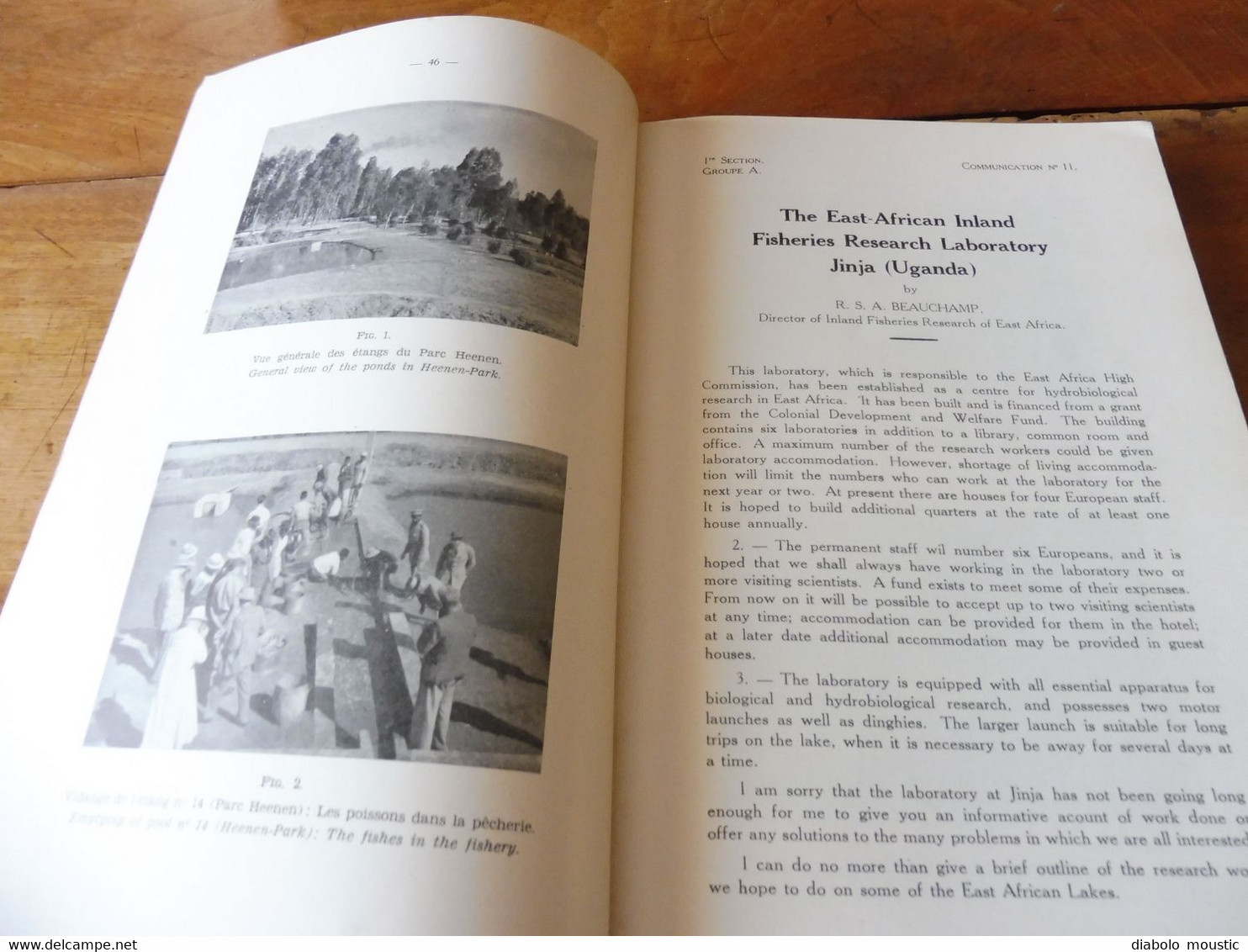 1950  Conférence Piscicole Anglo-Belge (pour une bonne production de poissons)- Elisabethville (Congo Belge)   bilingue