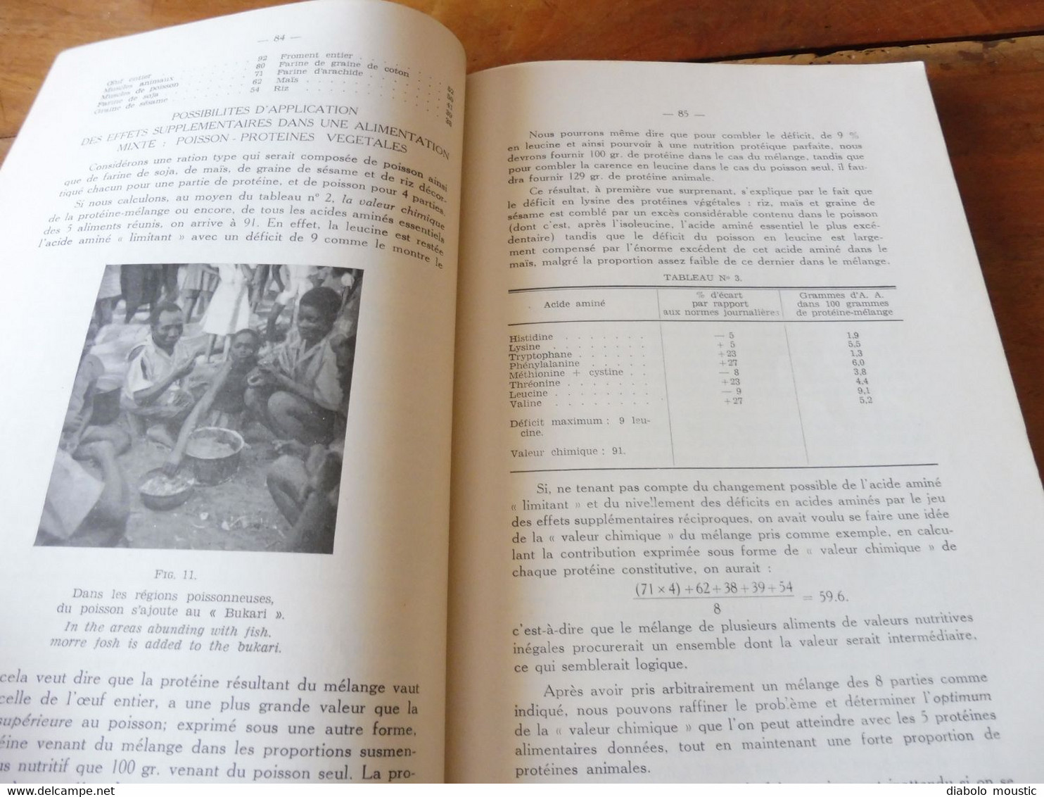 1950  Conférence Piscicole Anglo-Belge (pour une bonne production de poissons)- Elisabethville (Congo Belge)   bilingue