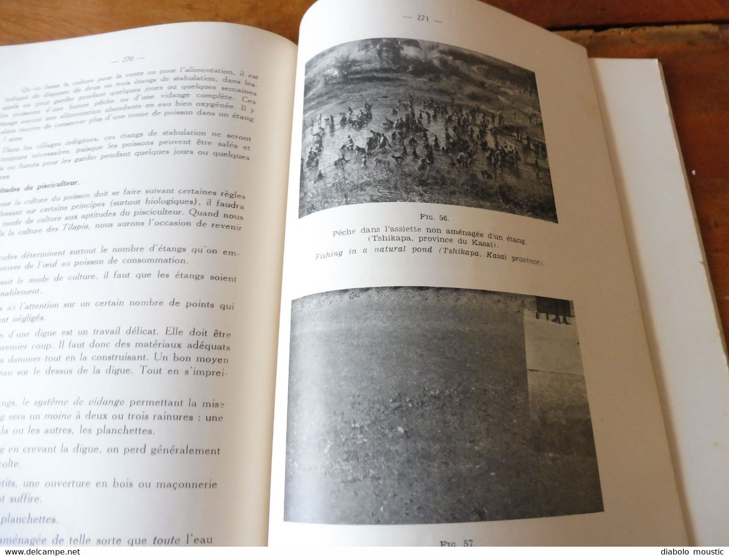 1950  Conférence Piscicole Anglo-Belge (pour une bonne production de poissons)- Elisabethville (Congo Belge)   bilingue