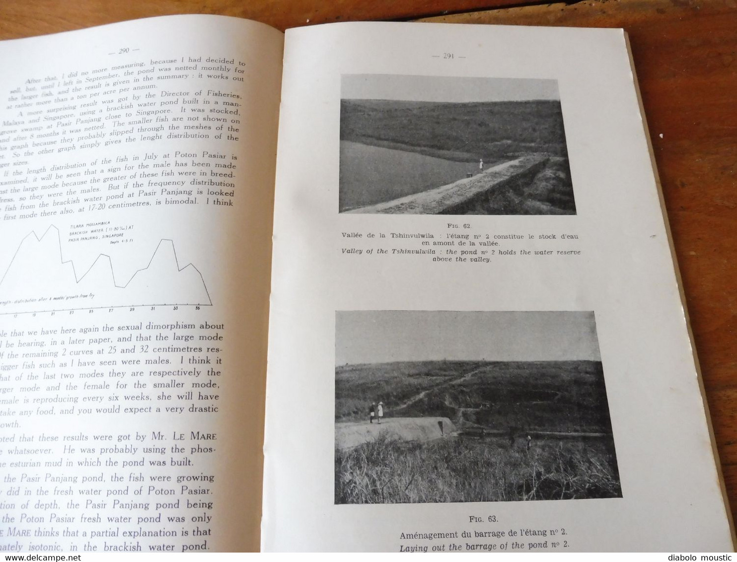 1950  Conférence Piscicole Anglo-Belge (pour une bonne production de poissons)- Elisabethville (Congo Belge)   bilingue