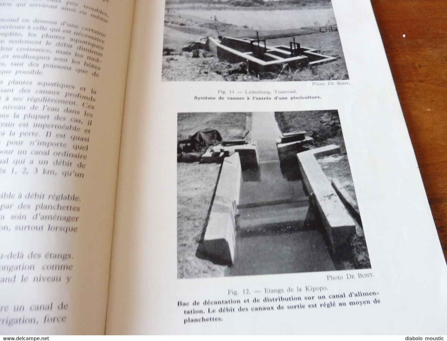 1950  La Construction d'Etangs de Pisciculture au Congo Belge  par A. F. de Bont ,  (Recherches piscicoles)