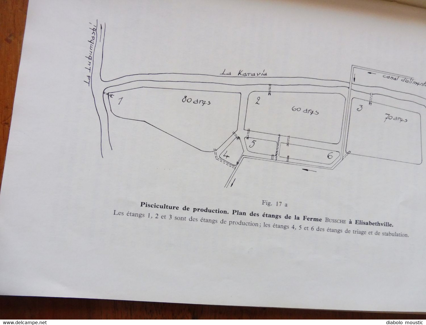 1950  La Construction d'Etangs de Pisciculture au Congo Belge  par A. F. de Bont ,  (Recherches piscicoles)