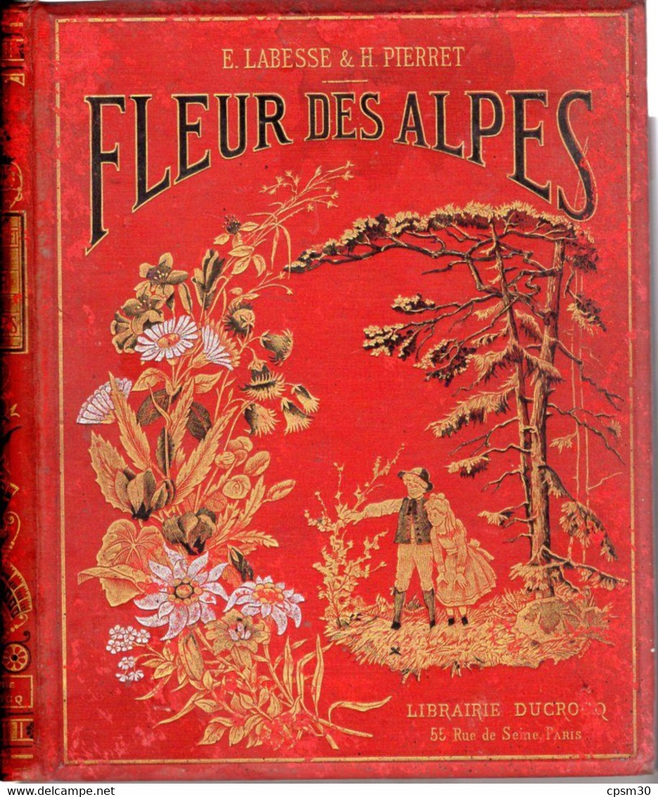 Livre - FLEURS Des ALPES, Savoie, 150 Vues Figures Et Compositions, 256 Pages, 1900/1920 - Alpes - Pays-de-Savoie