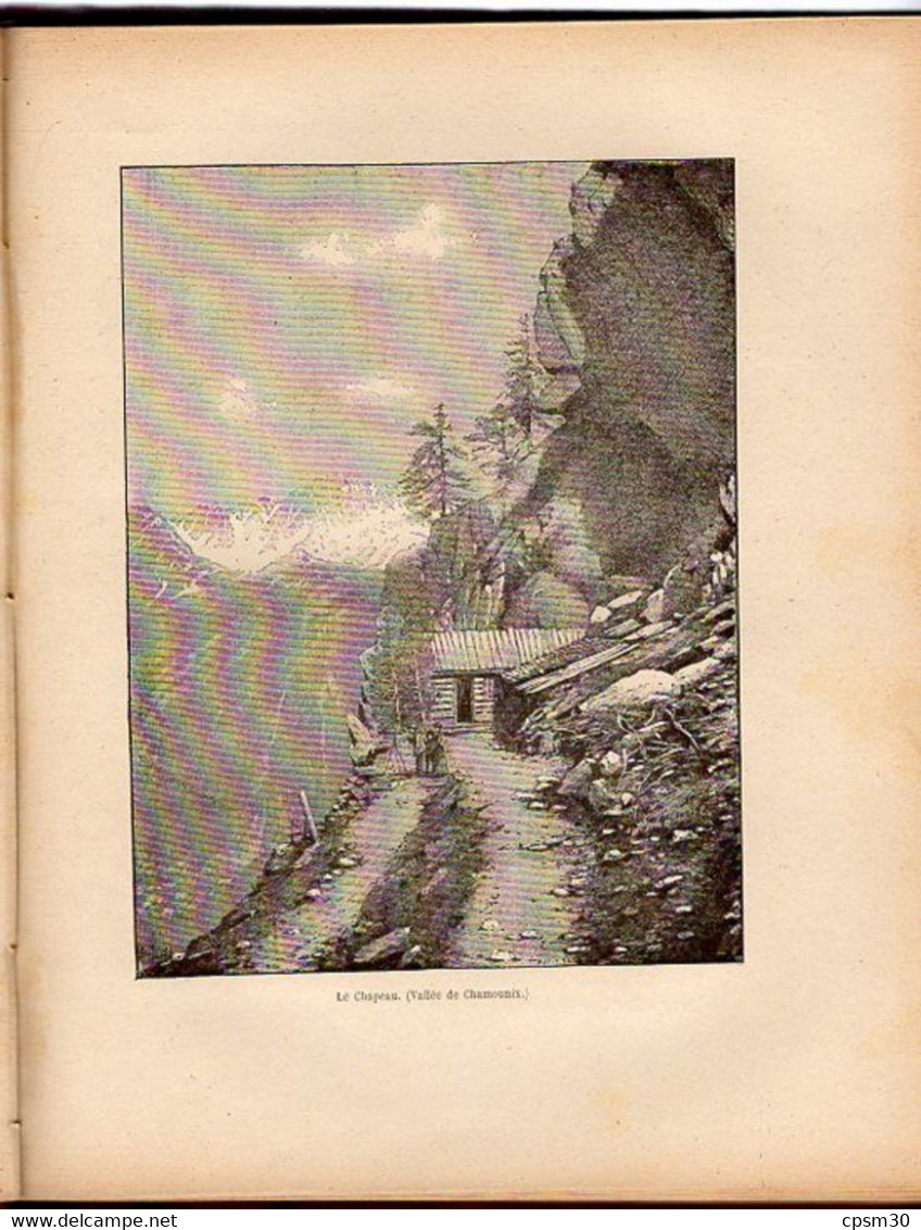 Livre - FLEURS des ALPES, Savoie, 150 vues figures et compositions, 256 pages, 1900/1920
