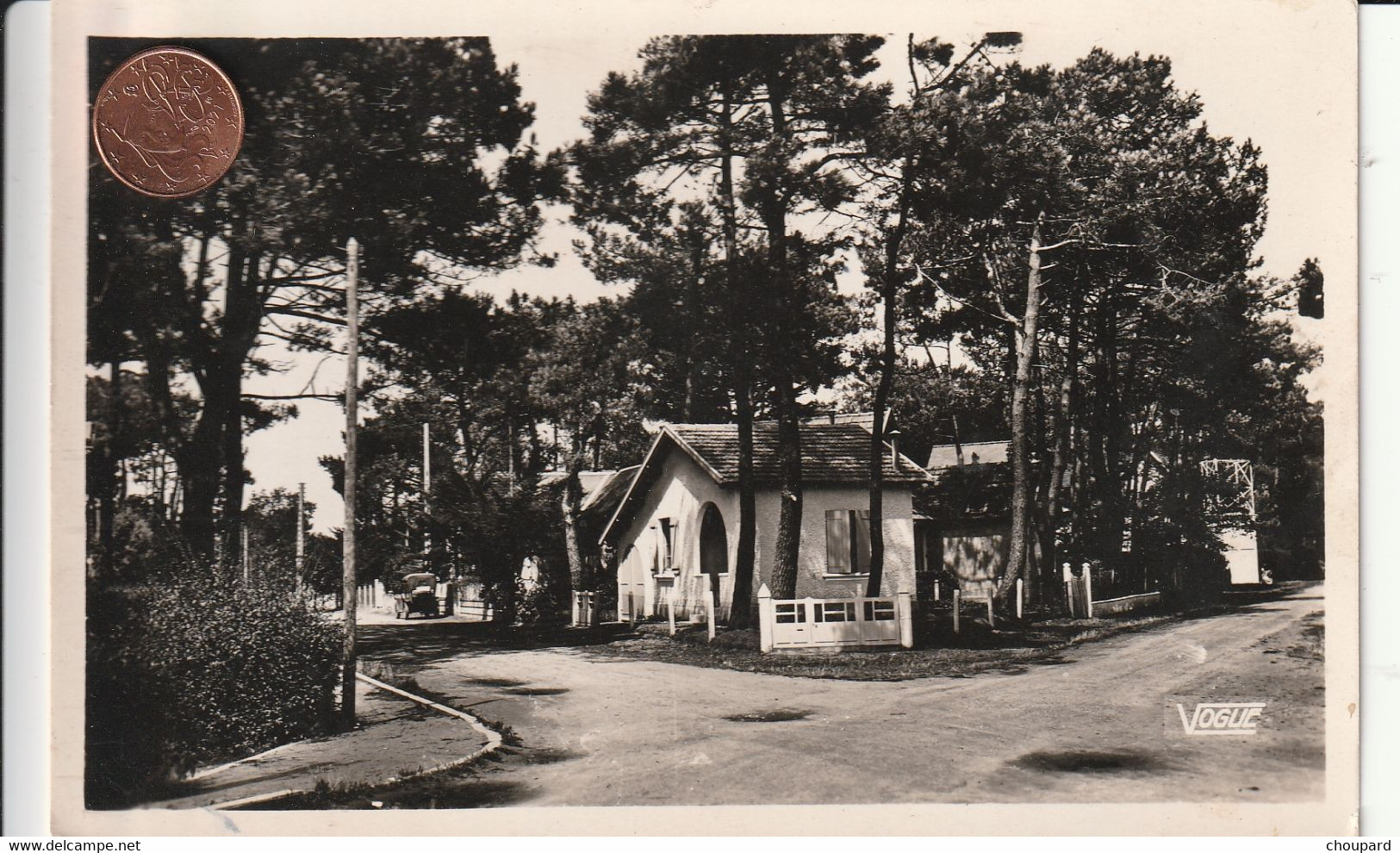 44 -  Carte Postale Semi Moderne De  THARON PLAGE  Avenue Dans Les Pins - Tharon-Plage