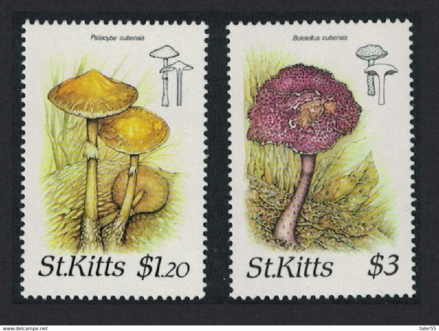 St. Kitts Fungi 2v 1987 MNH SG#243+245 CV£6.75 - St.Kitts En Nevis ( 1983-...)