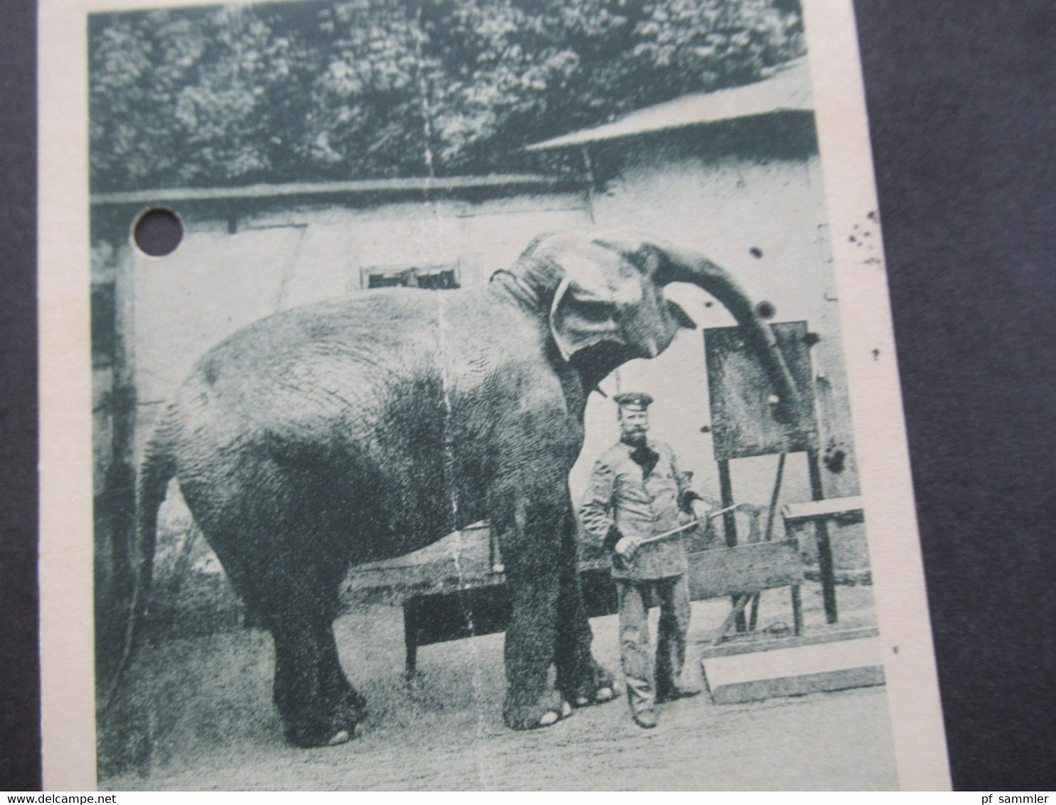 DR Infla 1923 Posthörchen MeF AK Tierpfleger Mit Elefant Zoologischer Garten, Leipzig - Éléphants