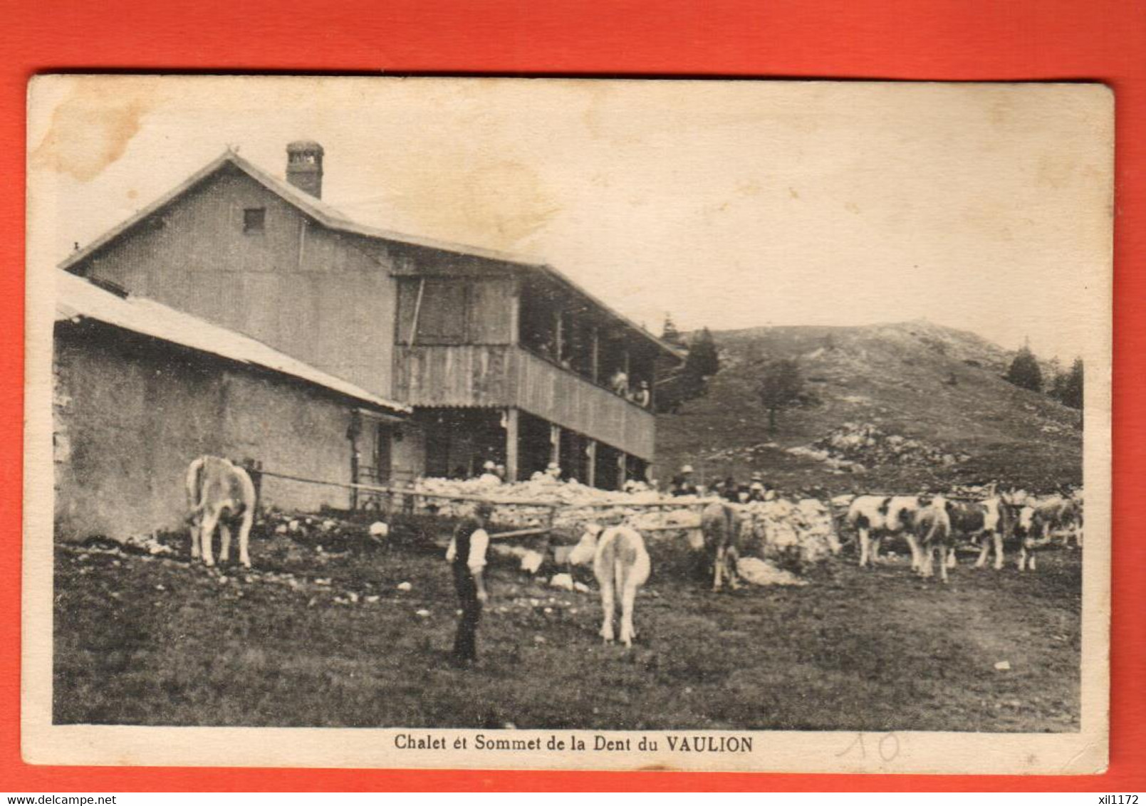 ZRX-33  Chalet Du Sommet De La Dent De Vaulion Val De Joux Troupeau De Vaches. Circ. 1930 Seal 50429 - Vaulion