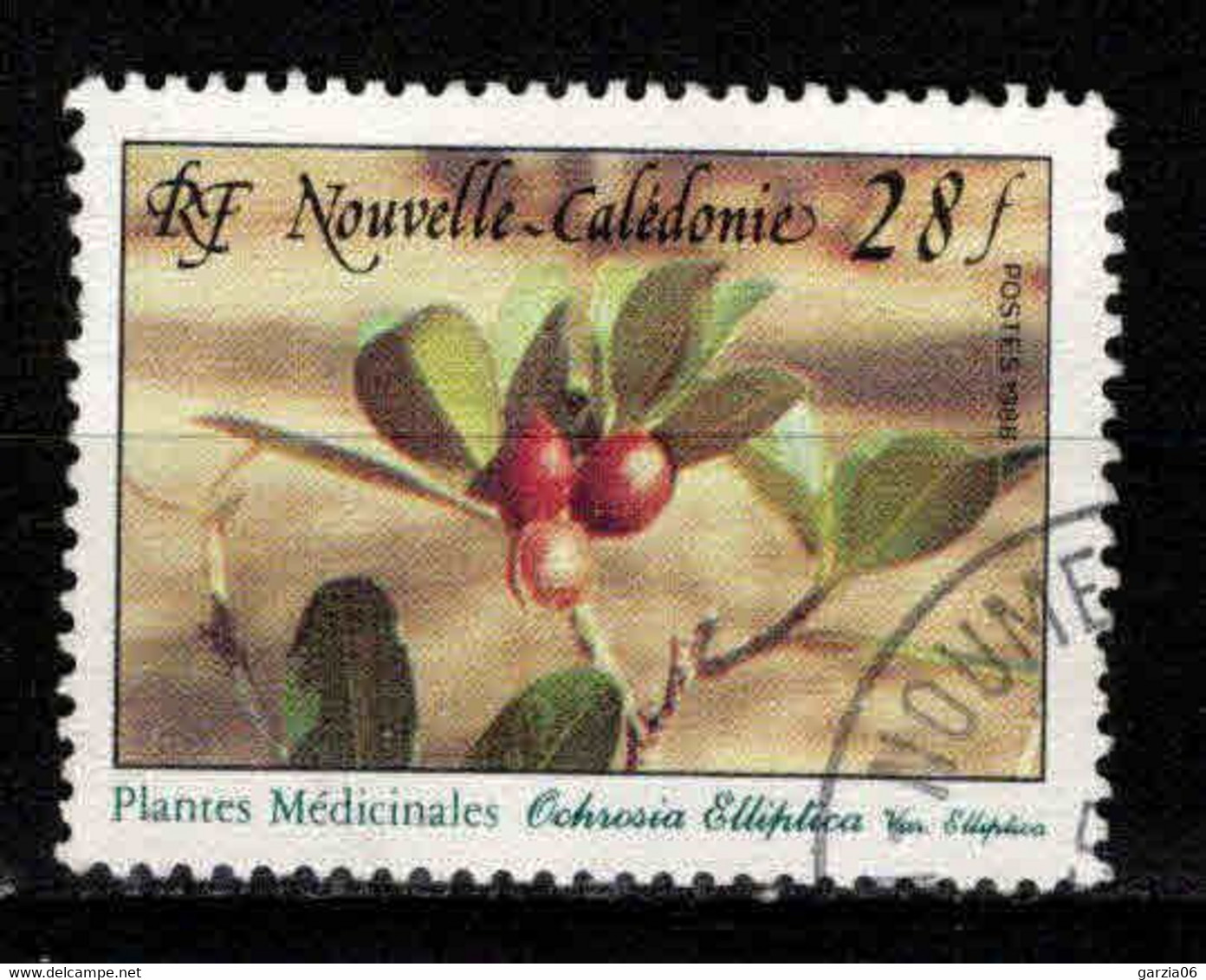 Nouvelle Calédonie  - 1988 - Plante Médicinale  - N° 556 - Oblit - Used - Oblitérés