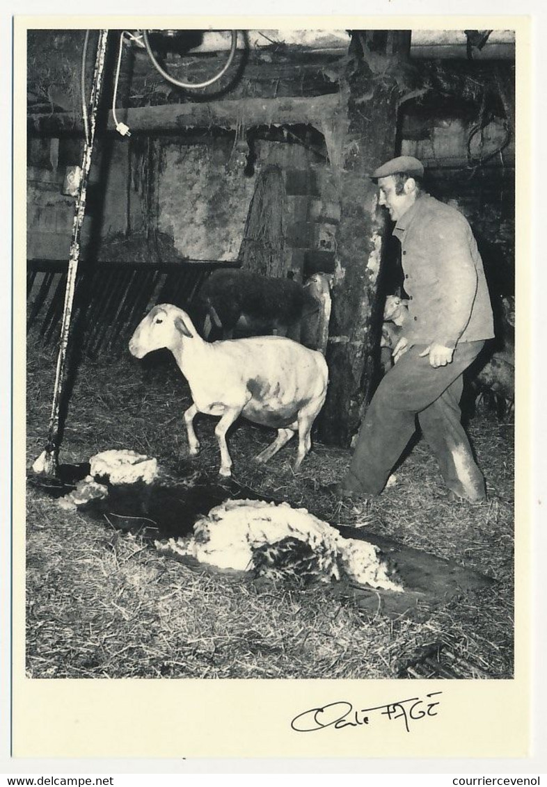 6 CPM - MAYRINHAGUES Près Villeneuve (Aveyron) - Jean Dournes - La Tonte Des Moutons - Claude Fagé N°89.196 à 89.201 - Autres & Non Classés