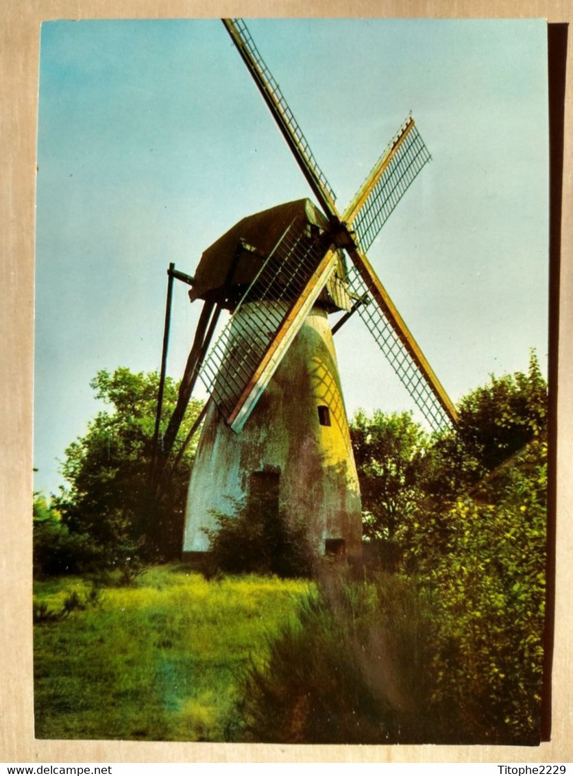 Mol - Ezaart Molen - Mol