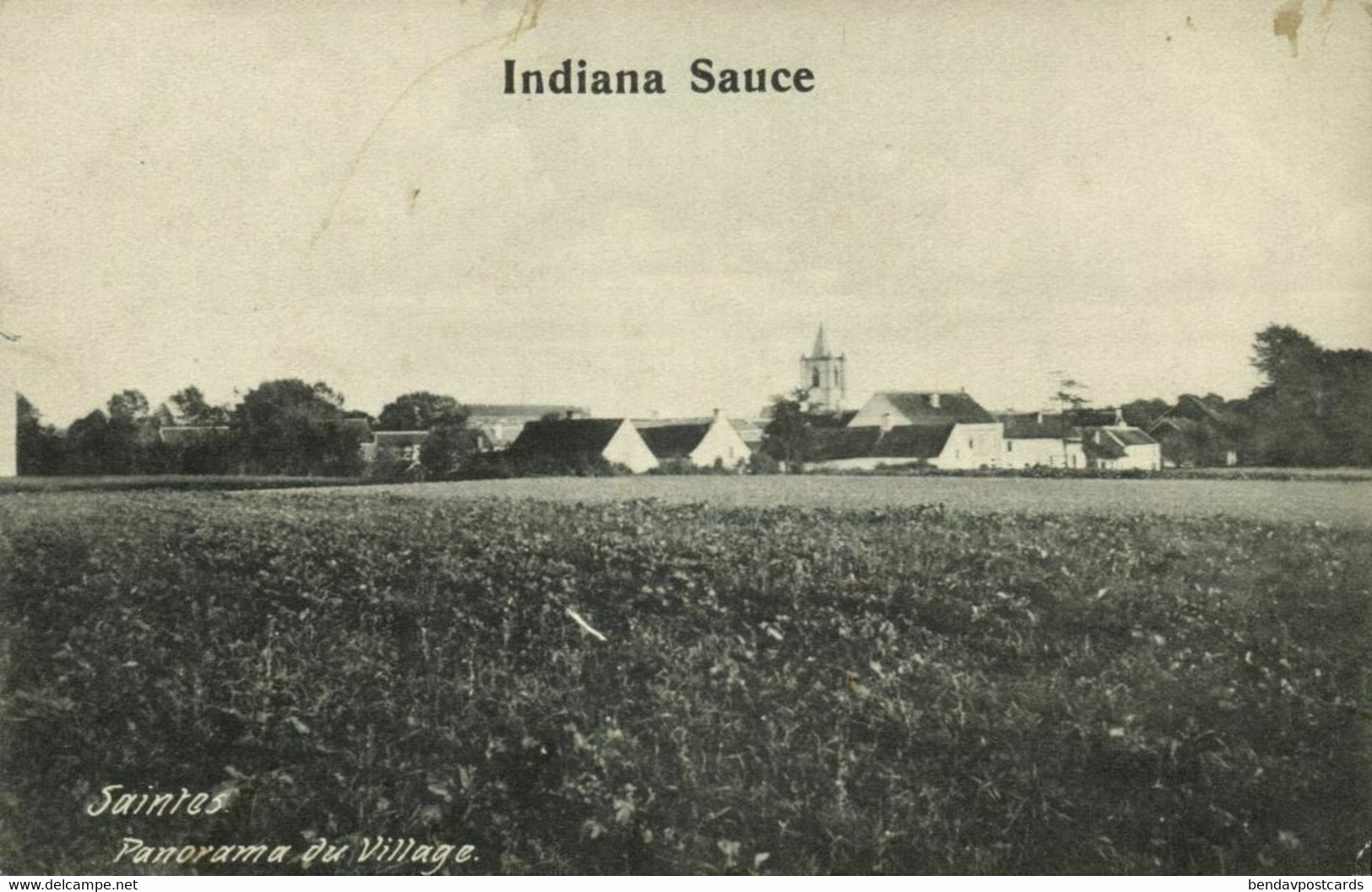 Belgium, SINT-RENELDE SAINTES, Panorama Du Village (1910s) Postcard - Tubize