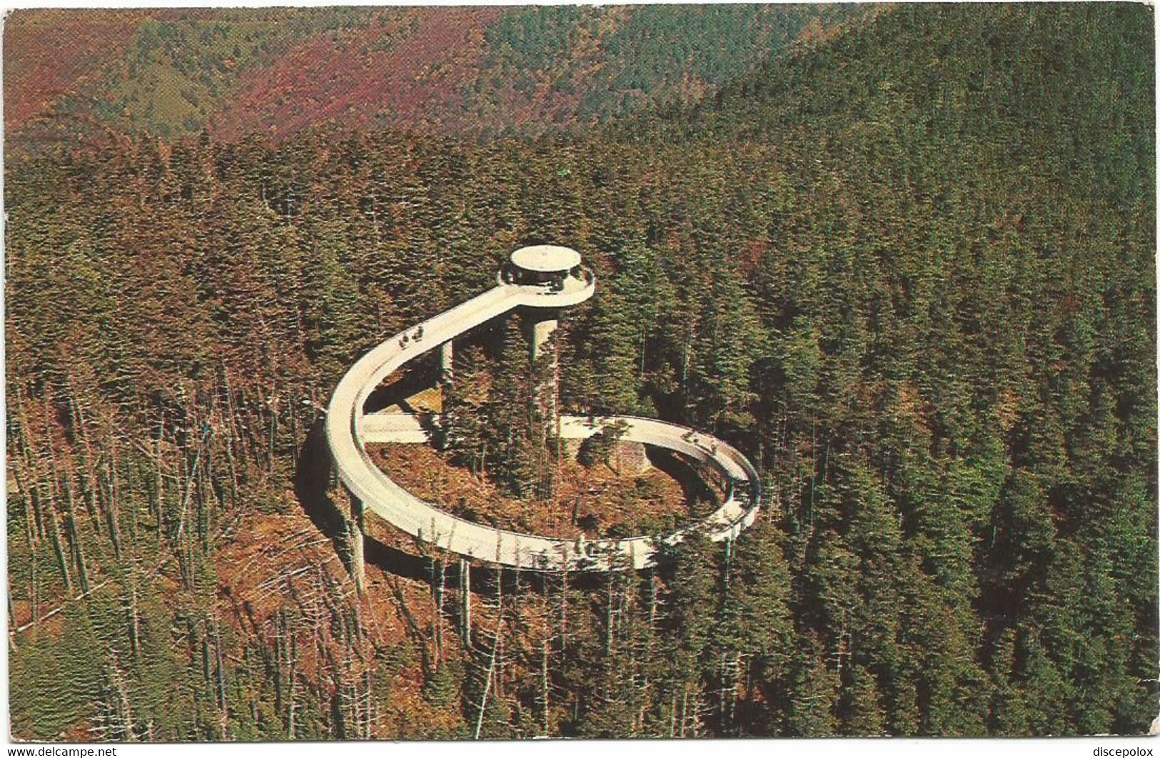 AC2853 Tennessee Smoky Mountains - Clingman's Dome Eagle Eye View / Viaggiata 1964 - Smokey Mountains
