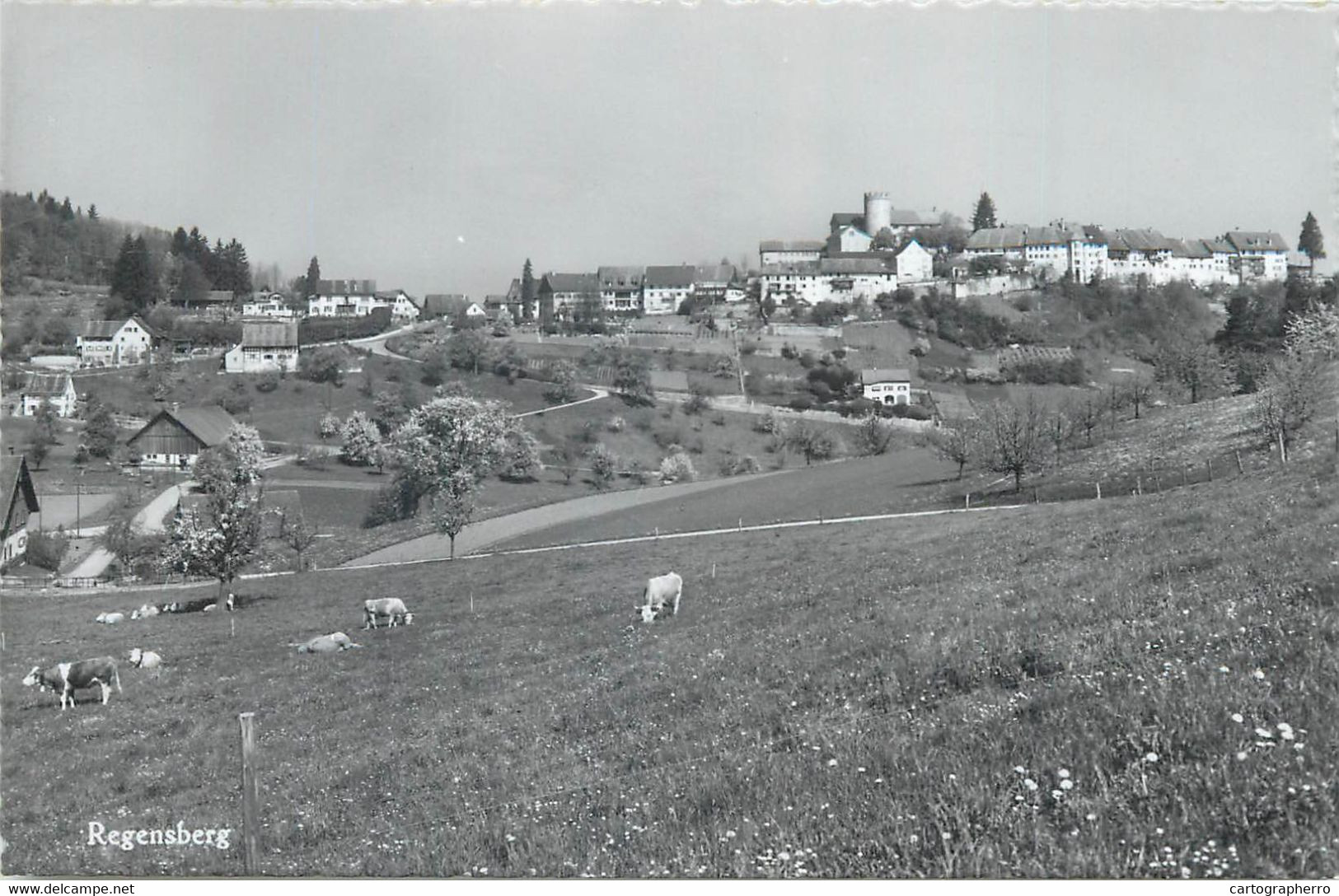 Switzerland Zurich REGENSBERG Hugo Kopp Postcard - Regensberg