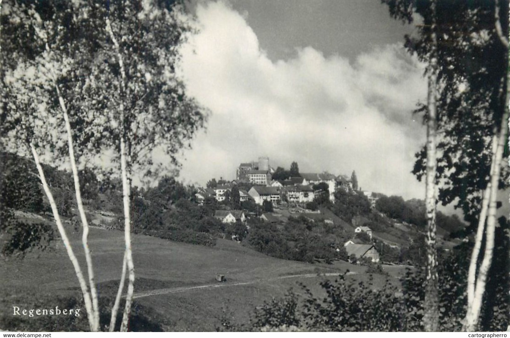 Switzerland Zurich REGENSBERG Hugo Kopp 1955 Lowen Postcard - Regensberg