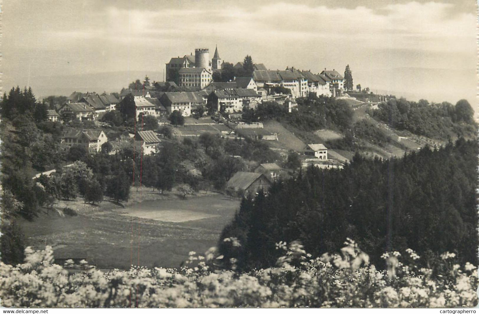 Switzerland Zurich REGENSBERG J. Schmidlipostcard - Regensberg