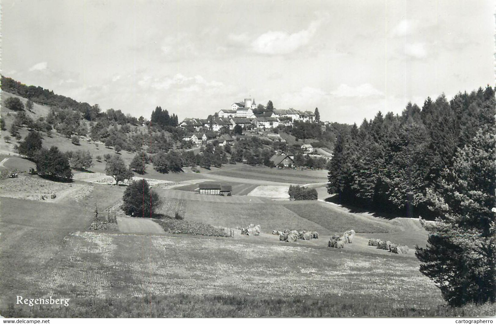 Switzerland Zurich REGENSBERG Hugo Kopp Postcard - Regensberg