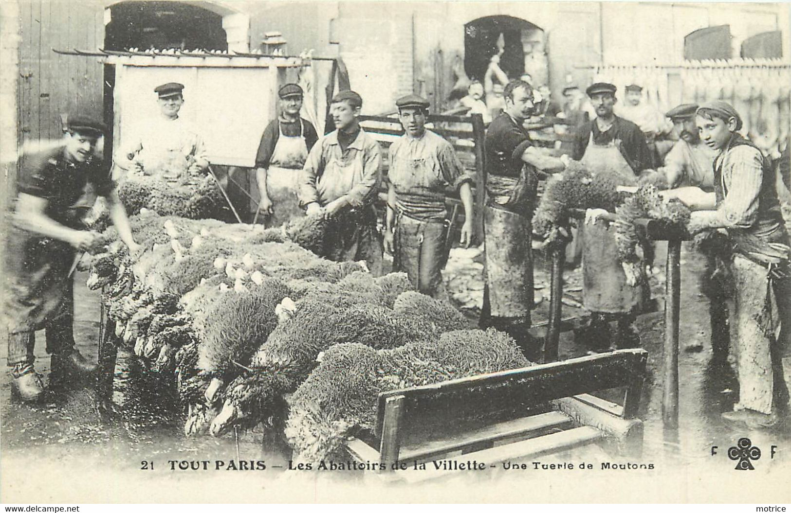 TOUT PARIS - Les Abattoirs De La Villette, Une Tuerie De Moutons. - Arrondissement: 19