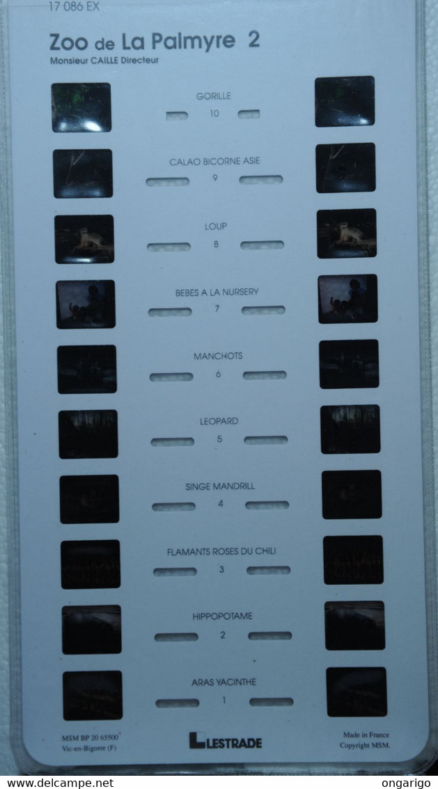 LESTRADE / MSM :  17086 EX    ZOO DE PALMYRE  2 - Visionneuses Stéréoscopiques