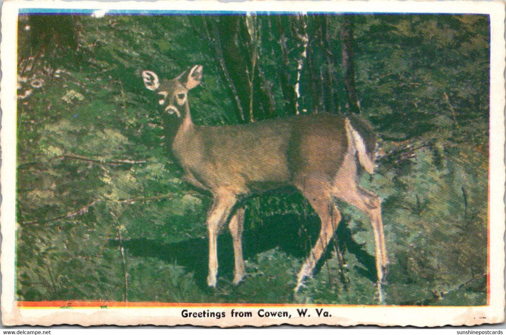 West Virginia Greetings From Cowen Dexter Press - Other & Unclassified