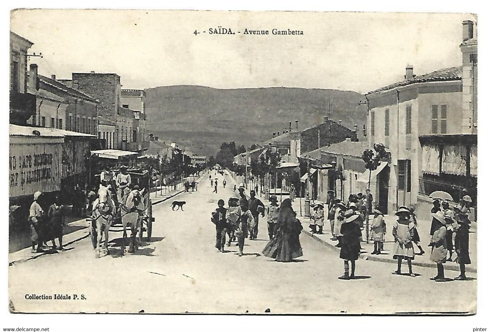 ALGERIE - SAIDA - Avenue Gambetta - Saïda