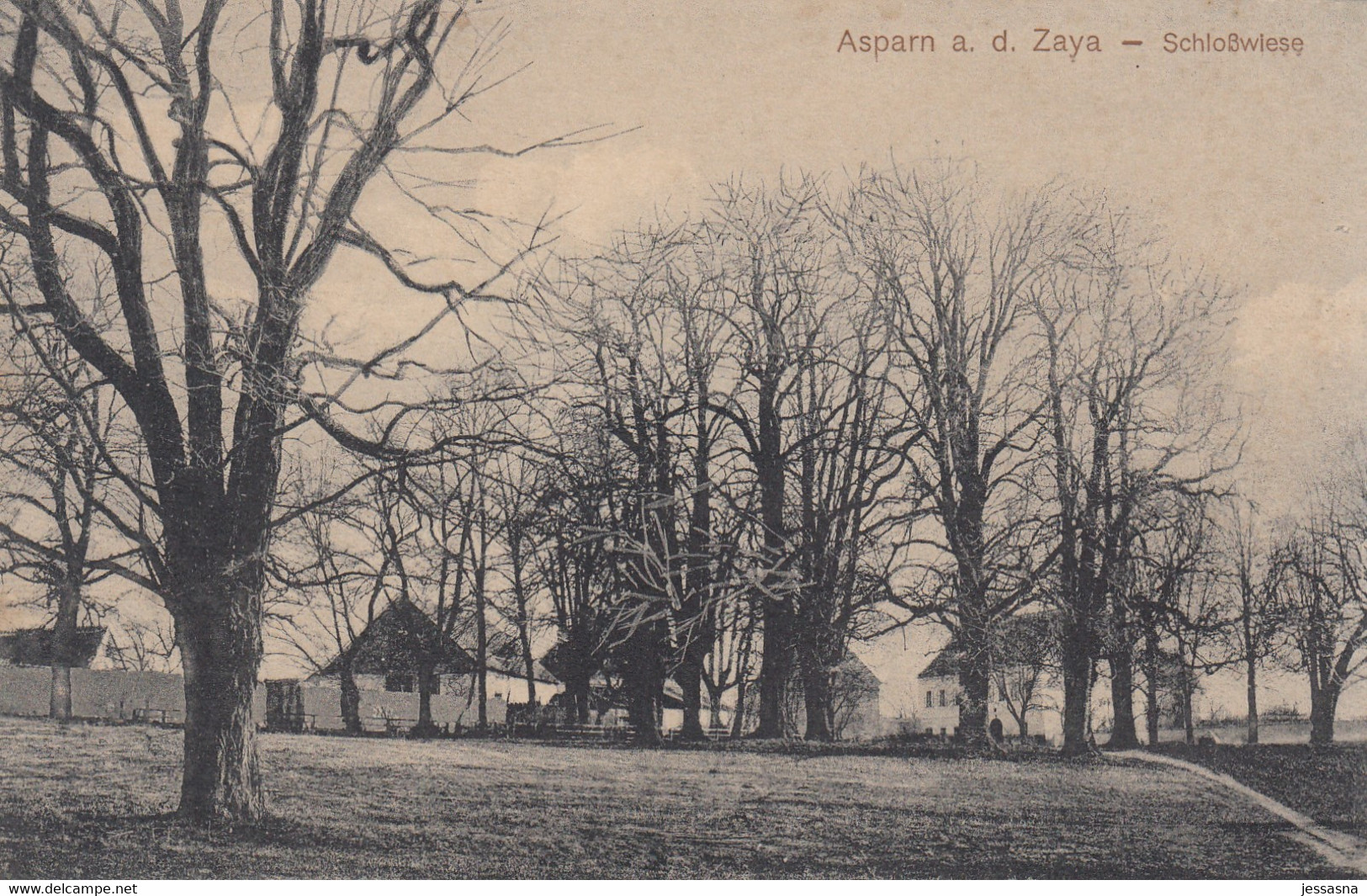 AK - ASPARN A/d Zaya - Schlosswiese 1920 - Mistelbach